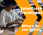 Salesforce developer career