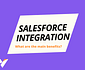 Salesforce integration with Vesium